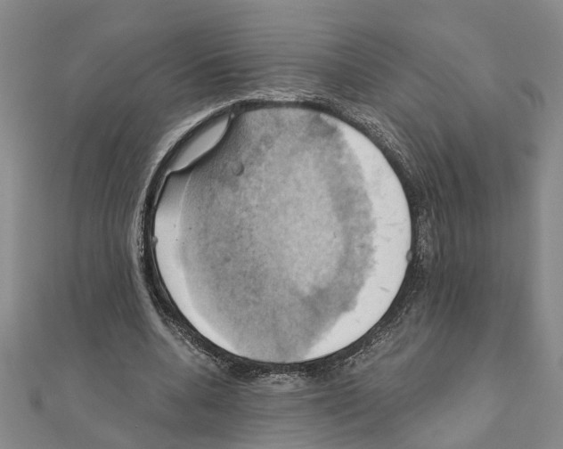X0000111030536200908061438