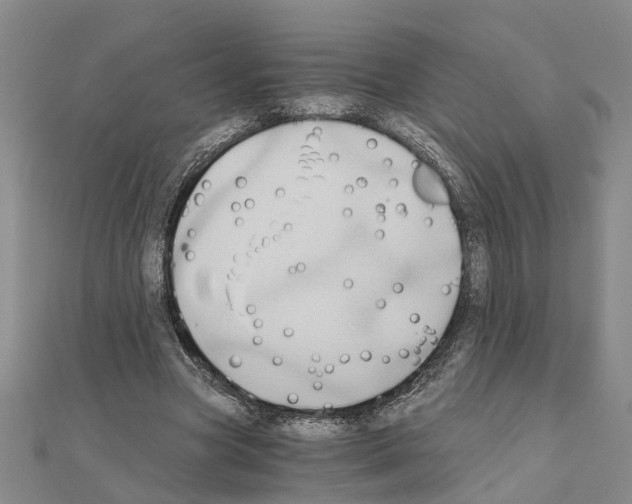 X0000111030537200908061438
