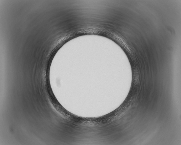 X0000111030538200908061438