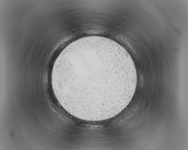 X0000111030539200908061438