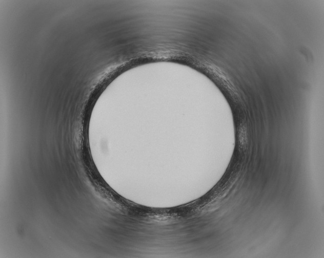 X0000111030540200908061438