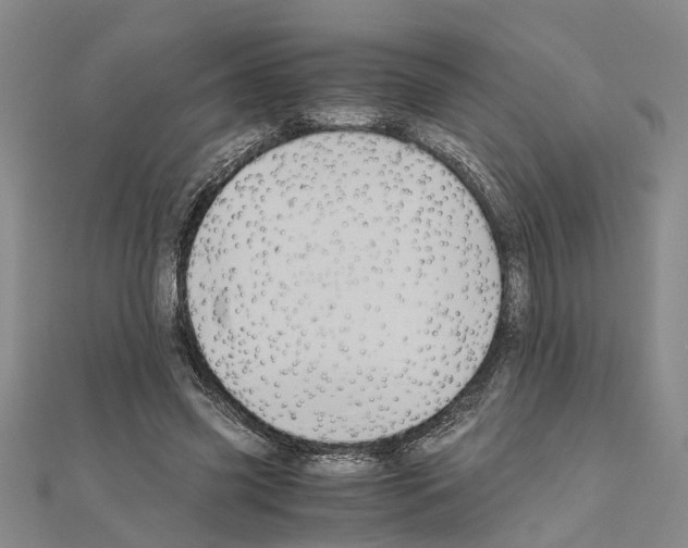 X0000111030541200908061438