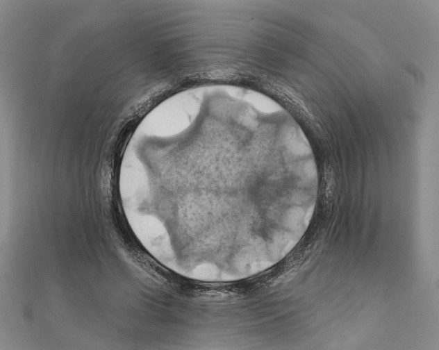 X0000111030542200908061438