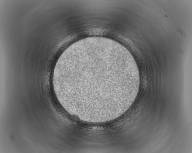 X0000111030543200908061438