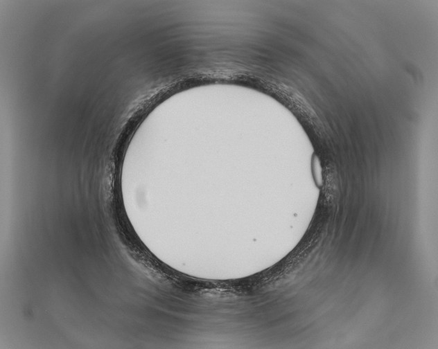 X0000111030544200908061438