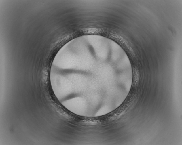 X0000111030545200908061438
