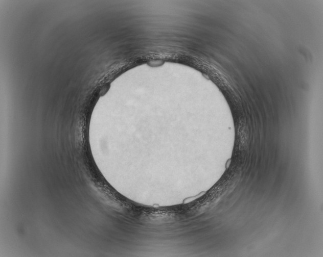 X0000111030546200908061438