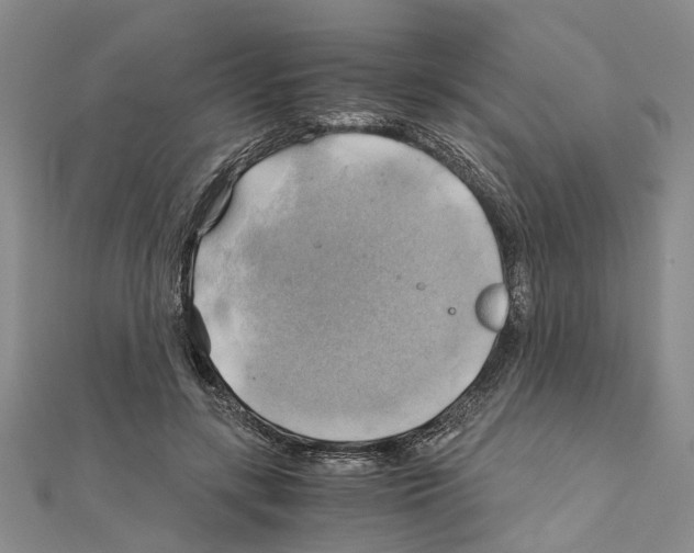 X0000111030547200908061438