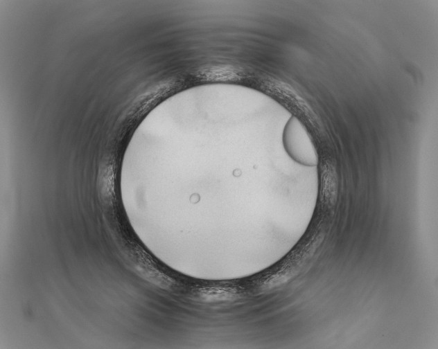 X0000111030549200908061438