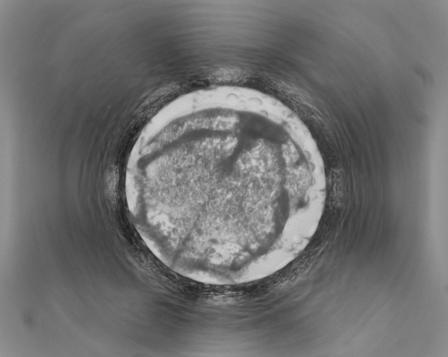X0000111030550200908061438