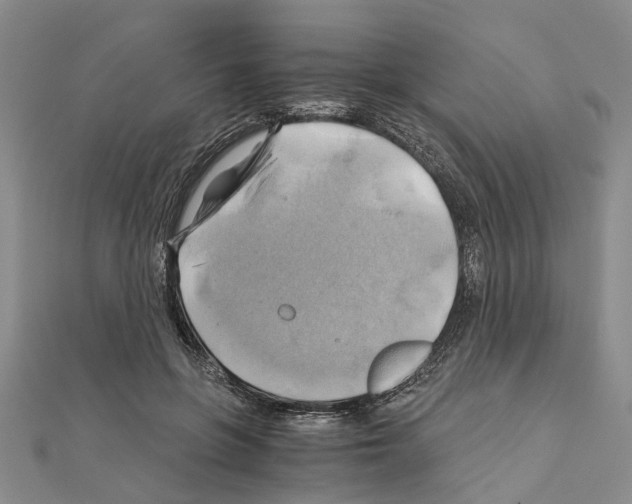 X0000111030551200908061438