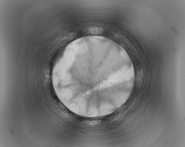X0000111030553200908061438