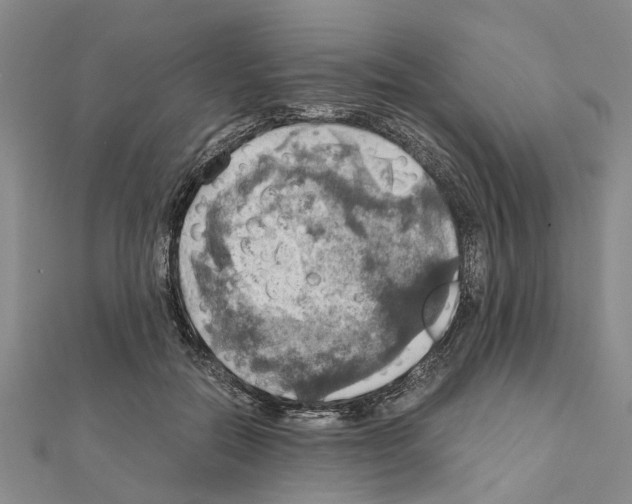 X0000111030554200908061438