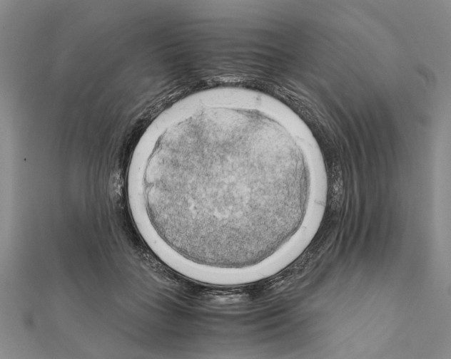 X0000111030555200908061438