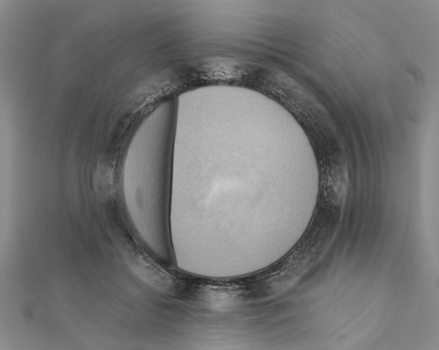 X0000111030556200908061438