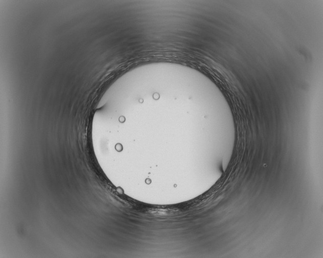 X0000111030558200908061438