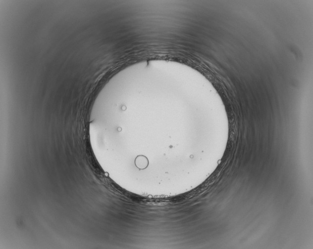 X0000111030560200908061438