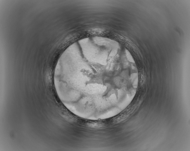 X0000111030561200908061438