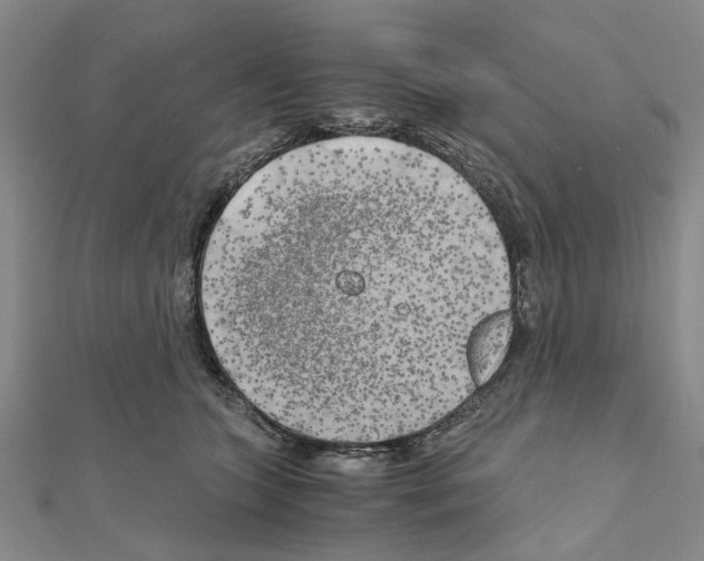 X0000111030563200908061438