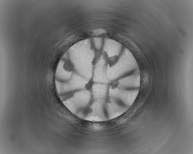 X0000111030565200908061438