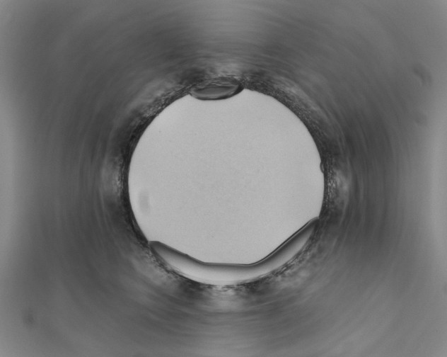 X0000111030566200908061438