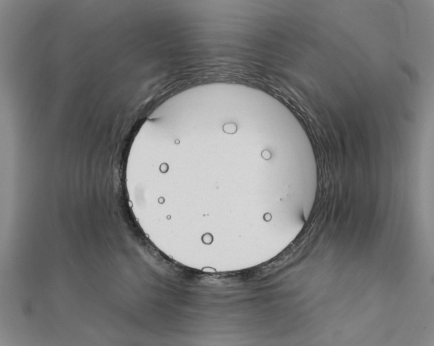 X0000111030568200908061438
