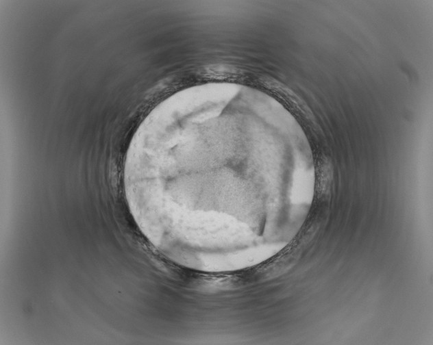 X0000111030569200908061438