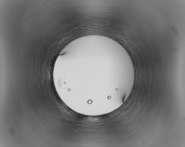 X0000111030570200908061438