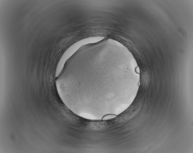 X0000111030571200908061438
