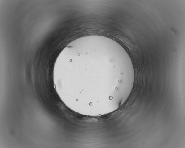 X0000111030572200908061438