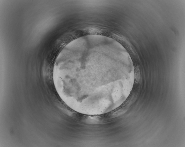 X0000111030573200908061438