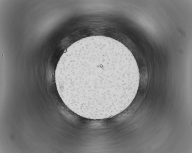 X0000111030574200908061438