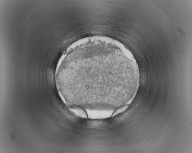 X0000111030575200908061438