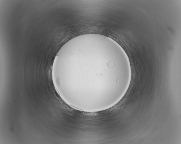 X0000111030576200908061438