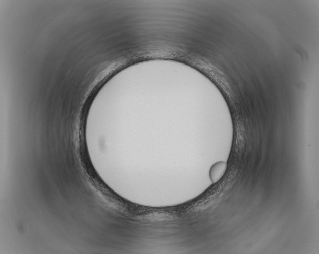 X0000111030578200908061438