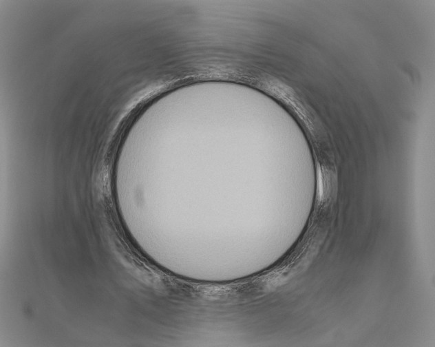 X0000111030579200908061438