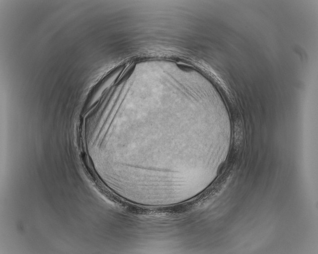 X0000111030581200908061438