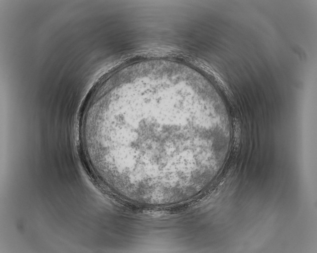 X0000111030582200908061438