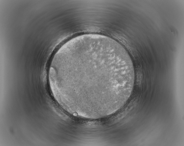 X0000111030584200908061437