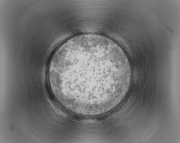 X0000111030586200908061437