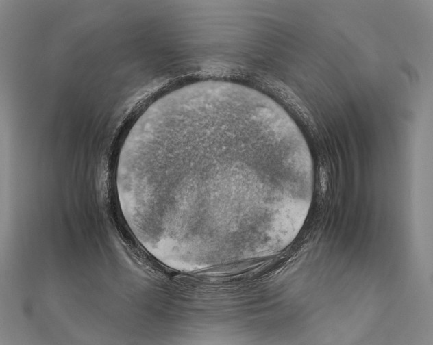 X0000111030588200908061437