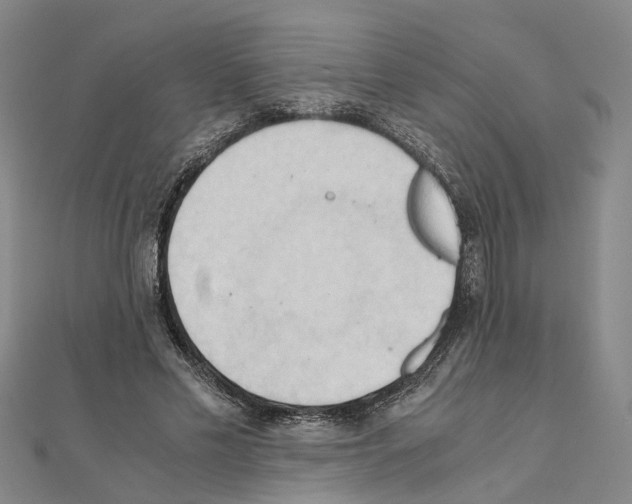 X0000111030589200908061437