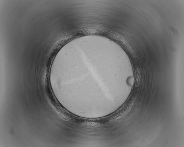 X0000111030590200908061437