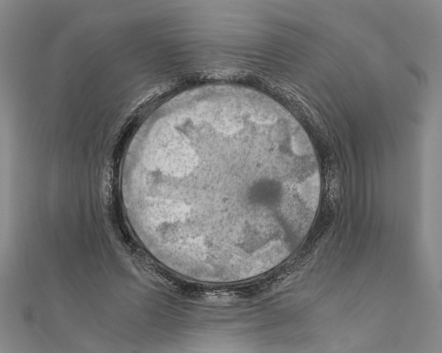 X0000111030591200908061437