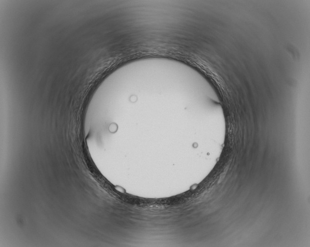X0000111030593200908061437