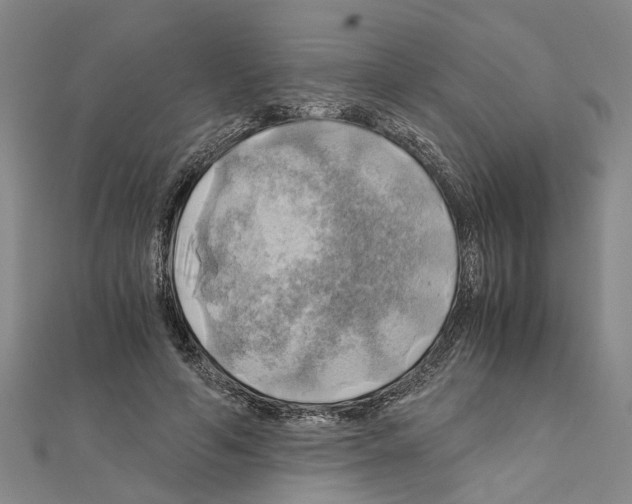 X0000111030594200908061437