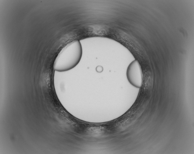 X0000111030595200908061437