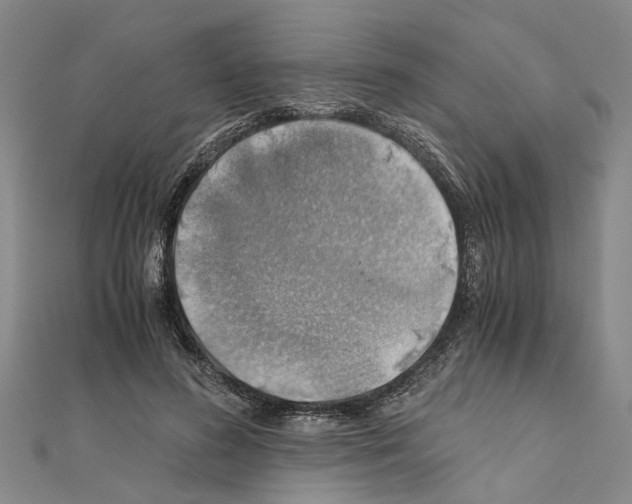 X0000111030596200908061437