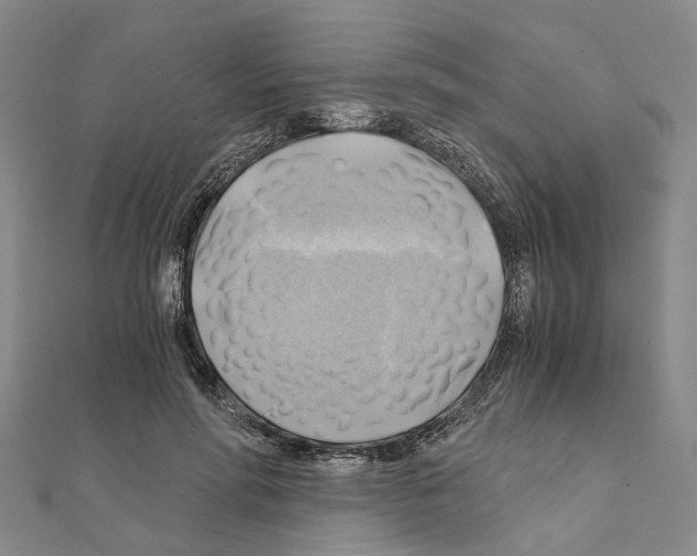 X0000111030598200908061437