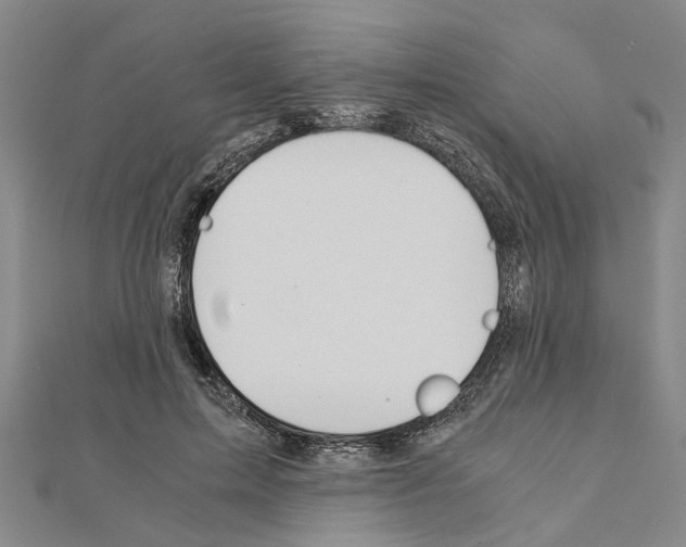 X0000111030599200908061437